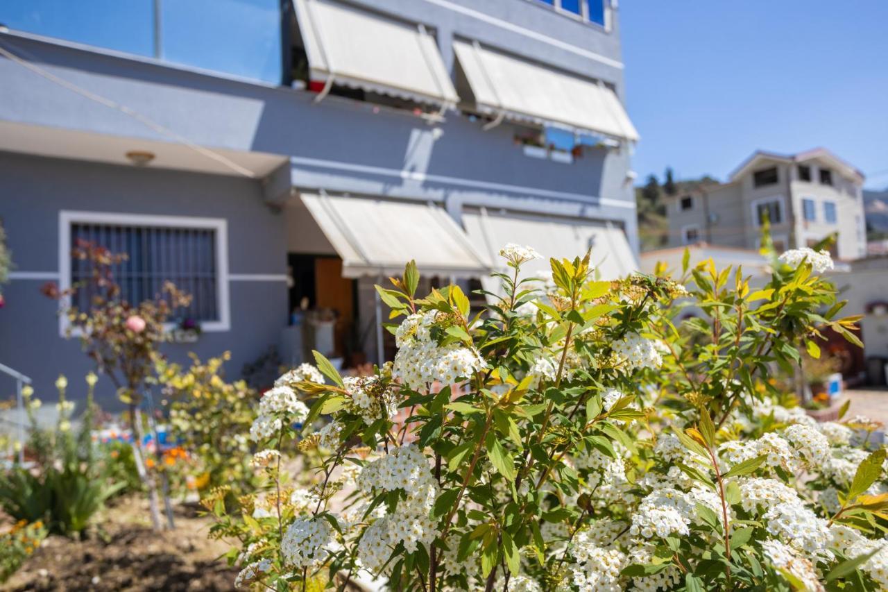 Vila Aulona Vlorë Exterior foto